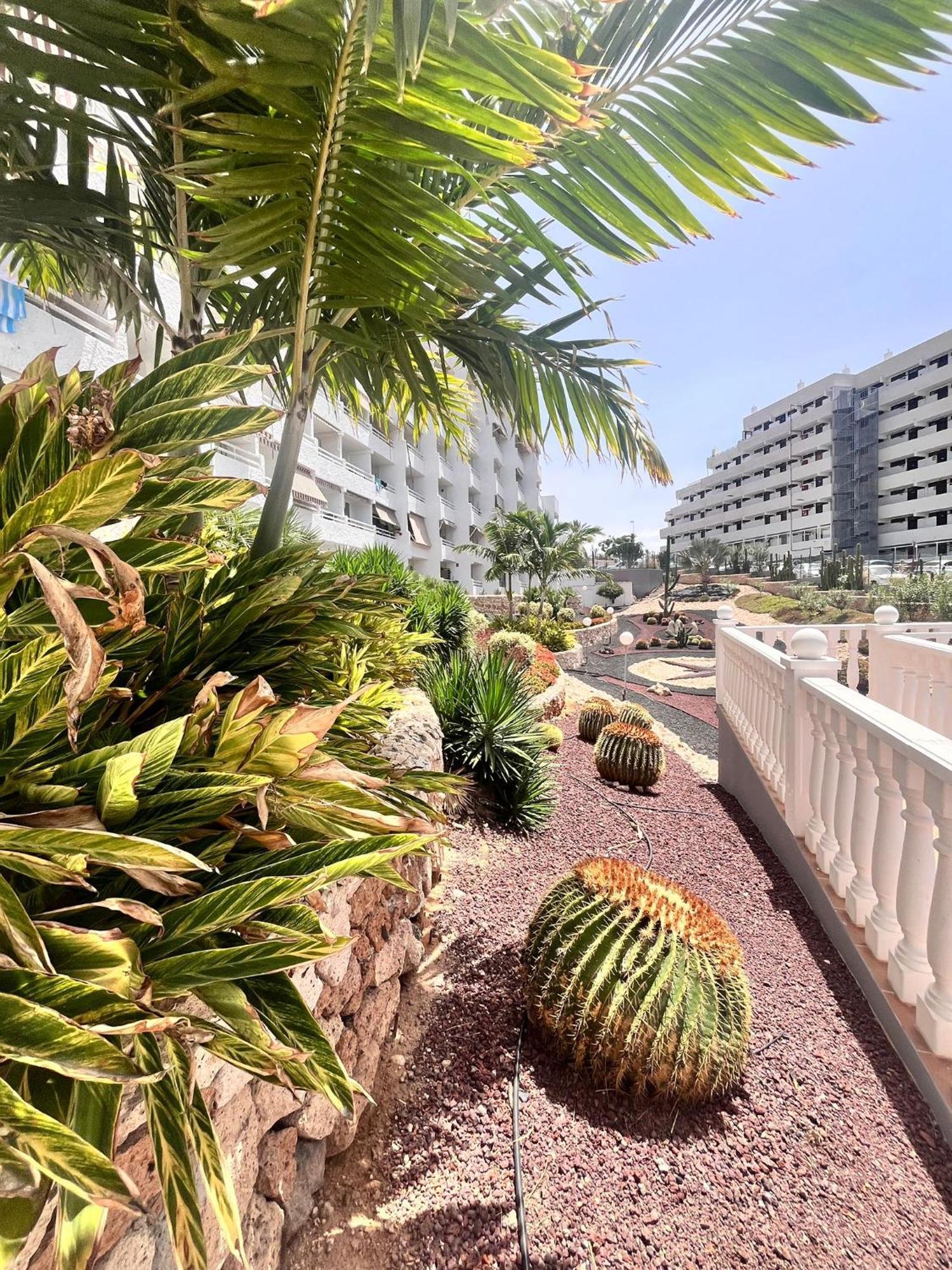 Beach House Apartment Costa Adeje  Zewnętrze zdjęcie